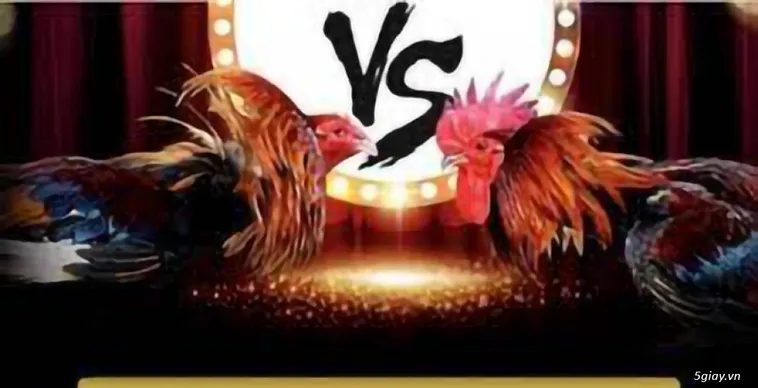 Khám Phá Thế Giới Đá Gà JBO Sôi Động Bậc Nhất Hành Tinh