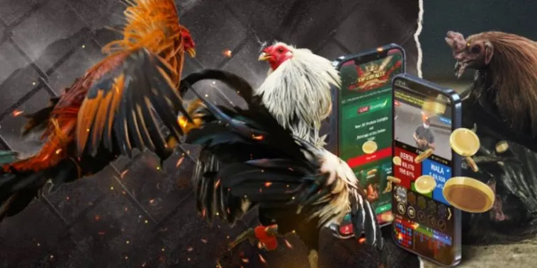 Chinh Phục Sảnh Đá Gà GA28 Tại JBO Với Chiến Thuật Bất Bại