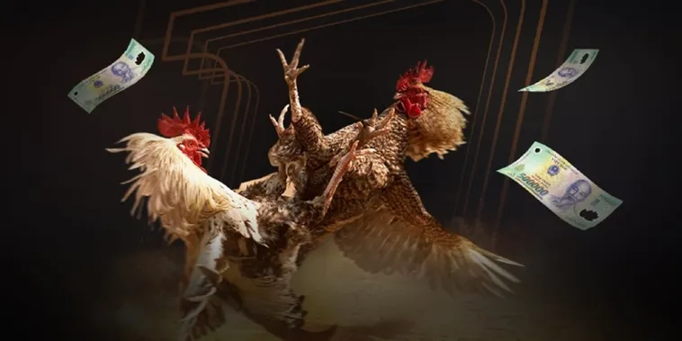 Khám Phá Thế Giới Đá Gà JBO Sôi Động Bậc Nhất Hành Tinh