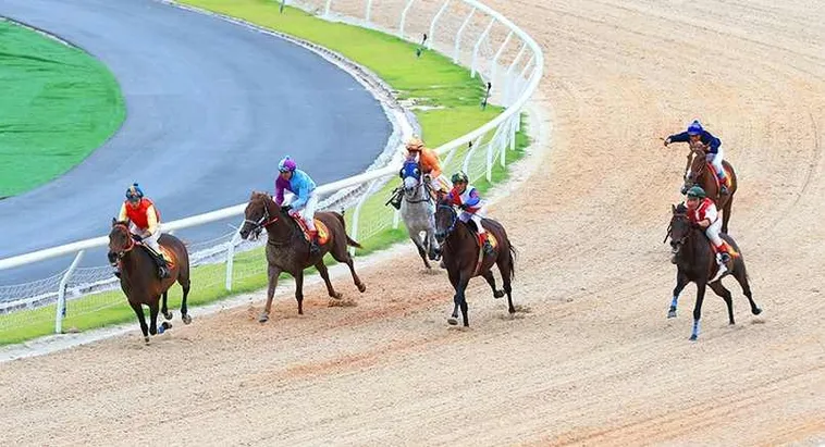 Khám Phá Thế Giới Cá Cược Đua Ngựa JBO Đỉnh Cao Cùng Bí Kíp 1 Khám Phá Thế Giới Cá Cược Đua Ngựa JBO Đỉnh Cao Cùng Bí Kíp